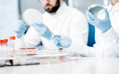 CAG Groep neemt IQ-Laboratory over